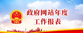 政府網(wǎng)站年度工作報(bào)表